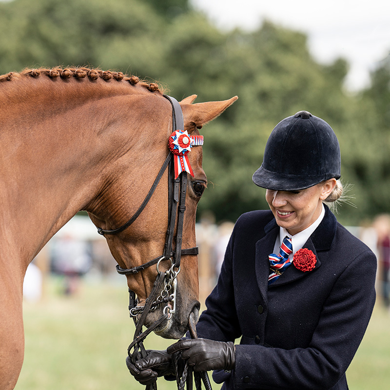 Ashbourne Show Light Horse