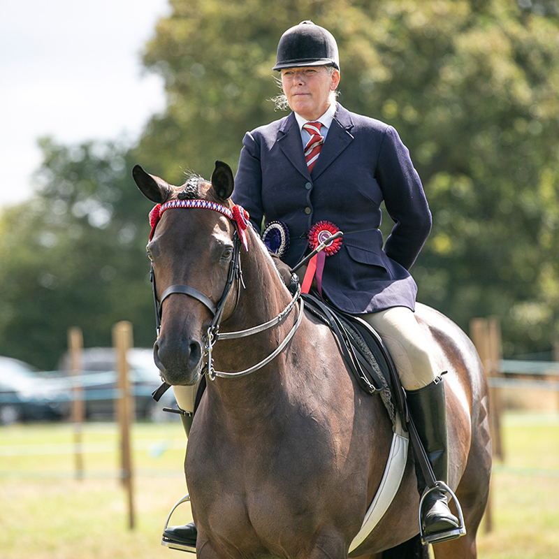 Ashbourne Show Light Horse