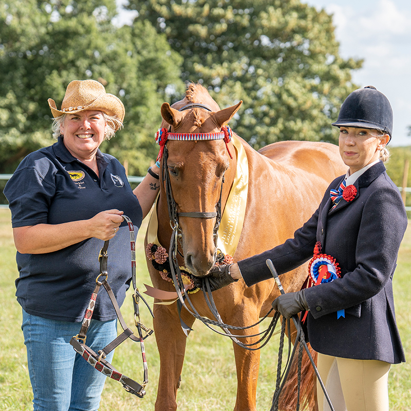 Ashbourne Show Light Horse