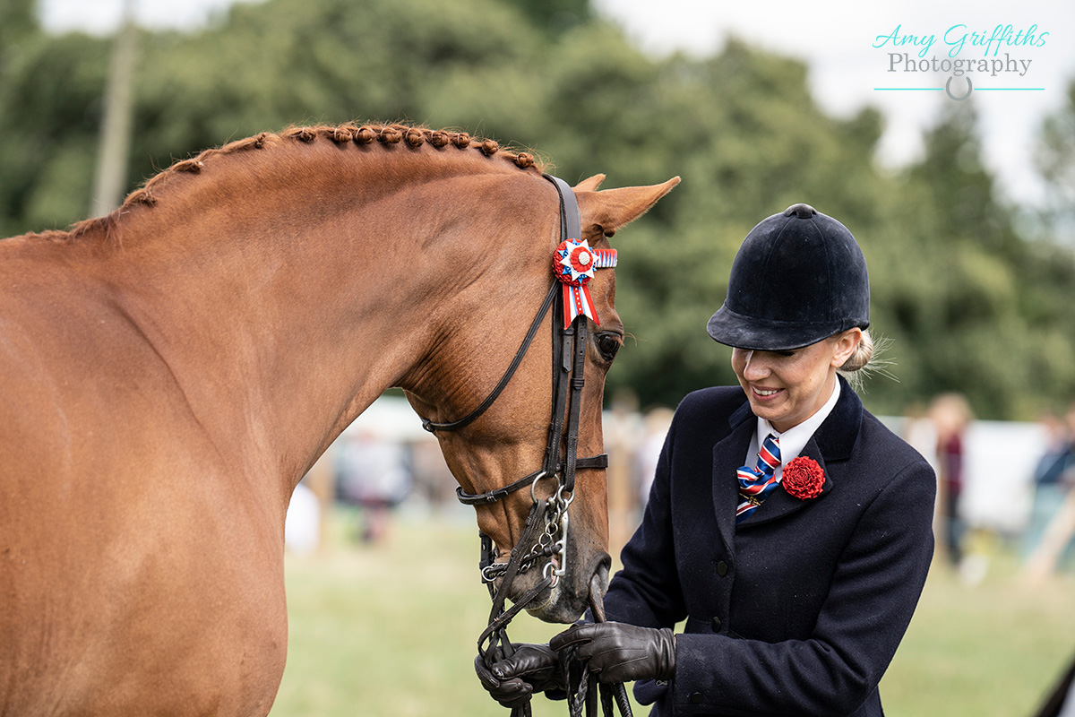 Ashbourne Show Light Horse