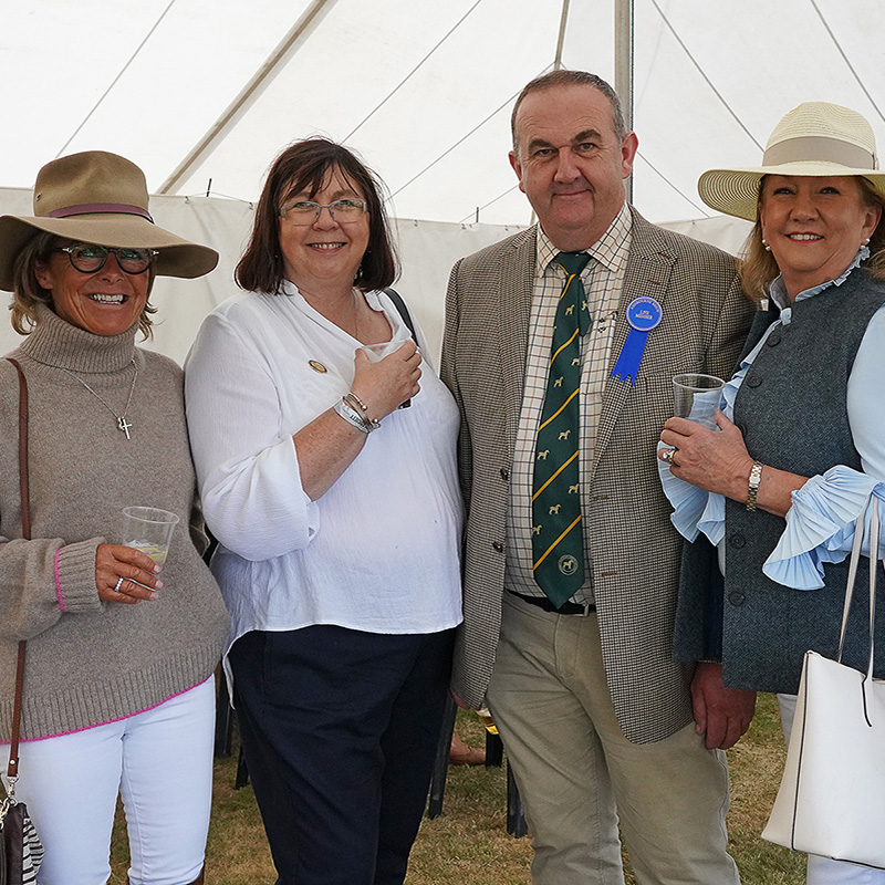 The Shire Horse Society Ashbourne